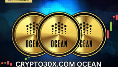 Crypto30x.com Ocean: The Future of Cryptocurrency and Blockchain Technology